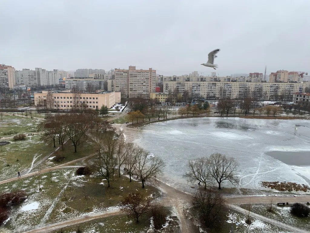 Квартира Уютная и бюджетная квартира рядом с метро — Санкт-Петербург