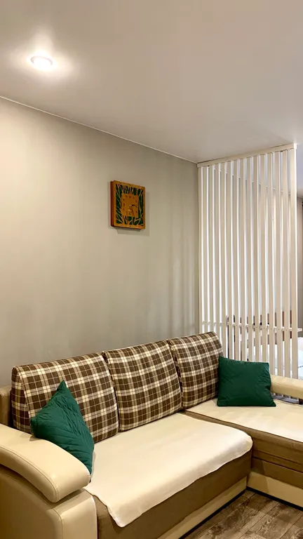 Уютная однокомнатная квартира