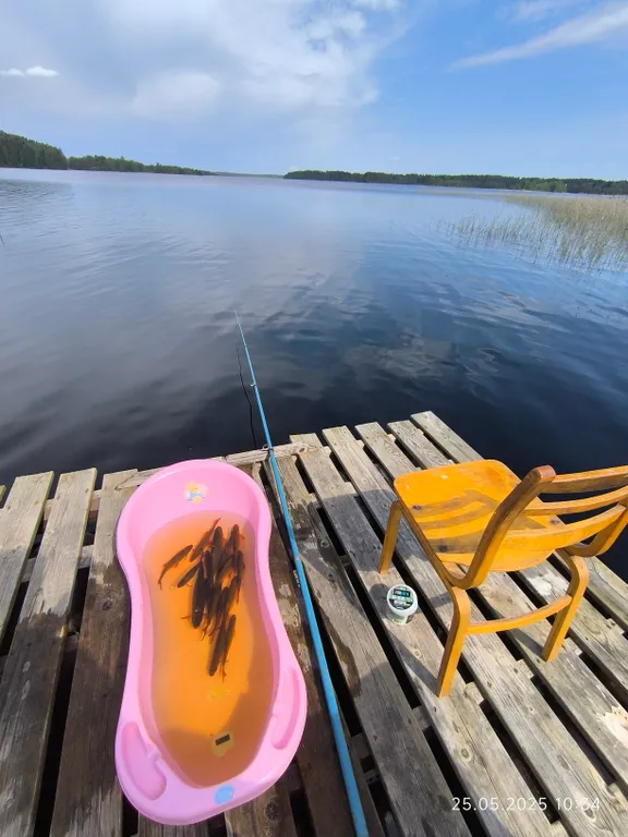 Дом на берегу с видом на Селигер