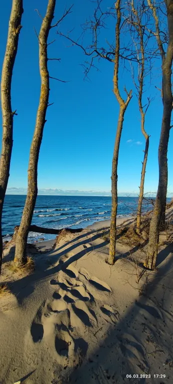 Лофт у моря