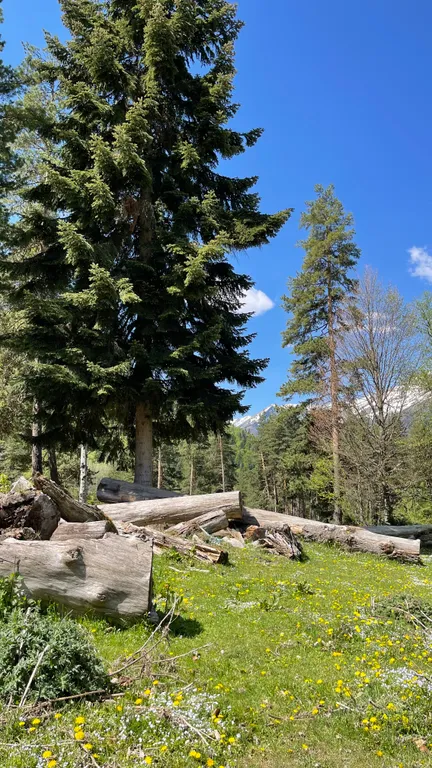 Уютное шале в горах