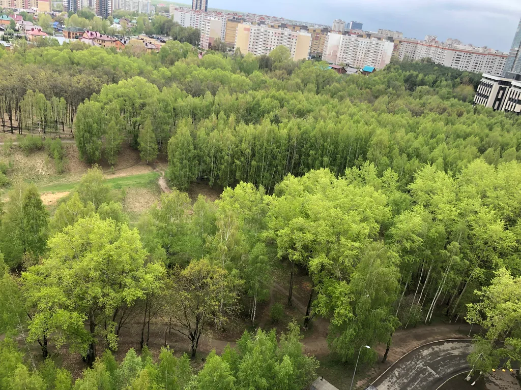 Квартира Уютная квартира с видом на парк — Казань