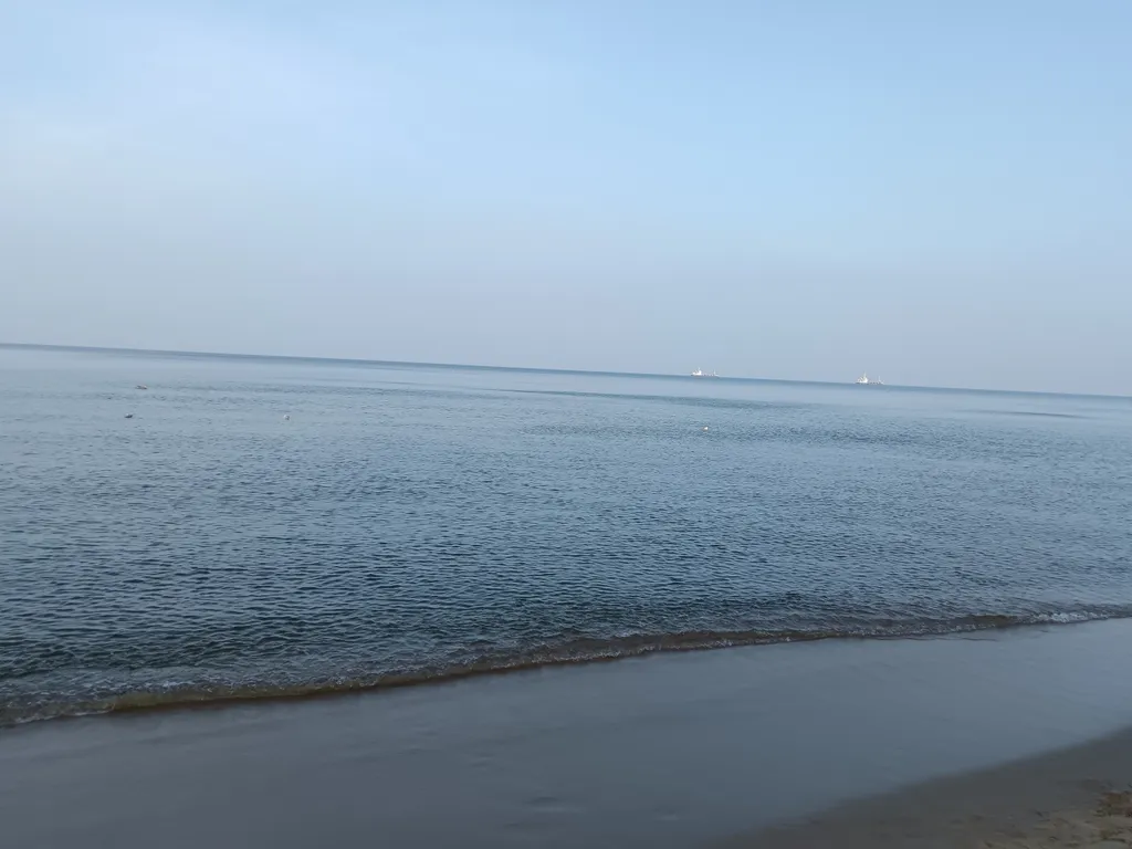 Квартира Уютная квартира — Светлогорск