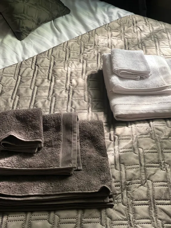 Квартира Квартира в сказочном Светлогорске с видом на лес под пение птиц — Светлогорск