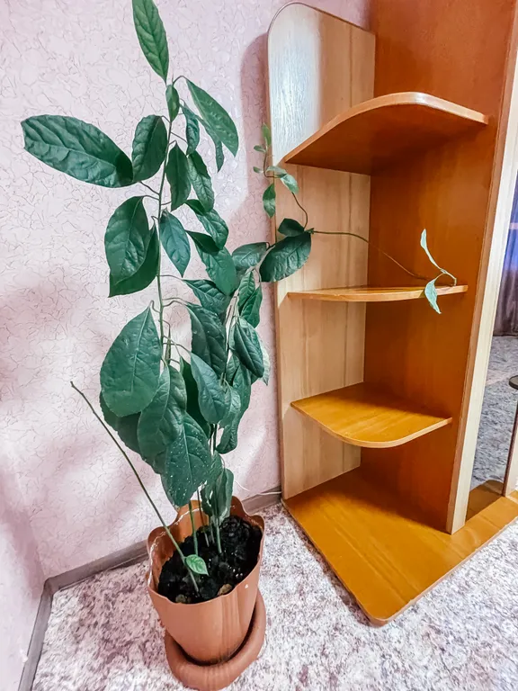 Однокомнатная квартира в тихом районе