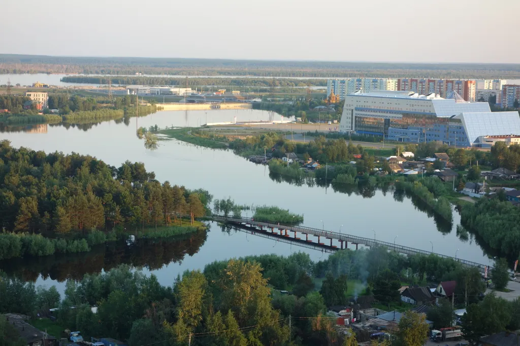 Уютная квартира с панорамным видом на парк — аренда посуточно в Сургут