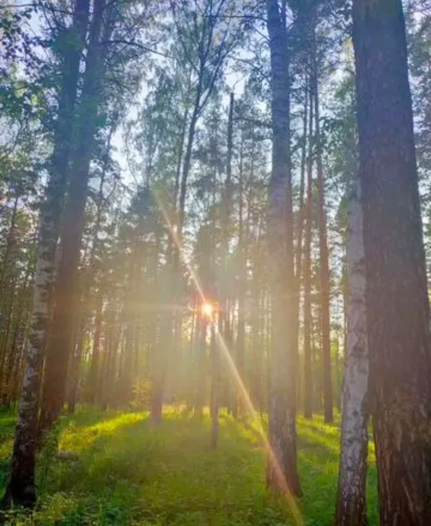 Квартира Квартира возле озера — Екатеринбург