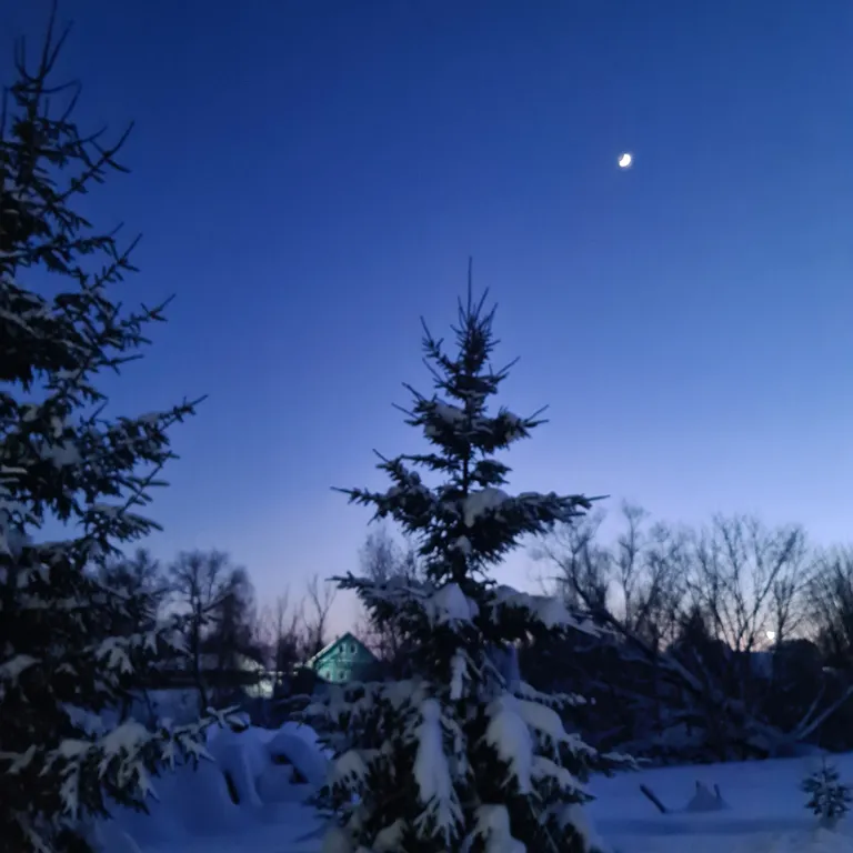 Дом на семи прудах