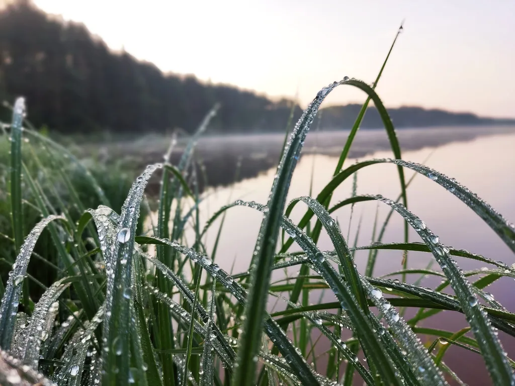 Коттедж Уютный домик на озере Волго на Селигере в сосновом бору — Турбаза Чайка