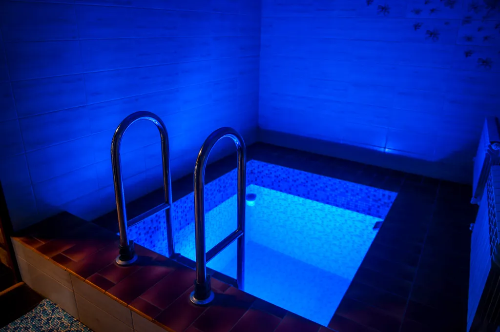 Дом в лесу с бассейном и баней