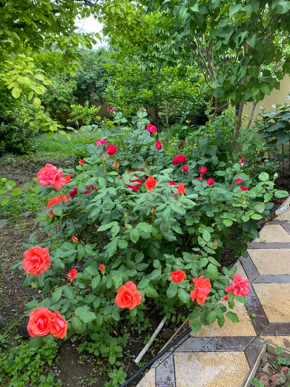 Уютная комната в частном доме с красивым садом