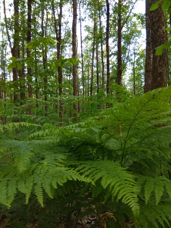 Коттедж Дом с открытой террасой и видом на горы и лес — Горячий Ключ