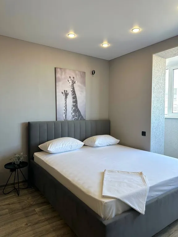 Уютная студия в центре города