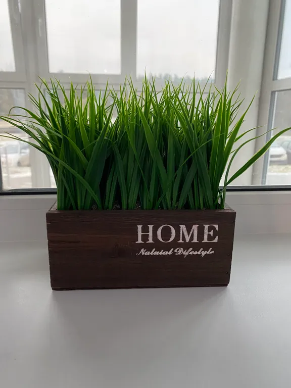 Квартира Уютная квартира в центре города — Луга