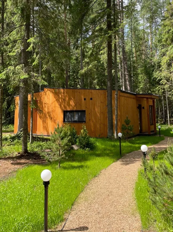 Коттедж Домик в лесу у озера для семейного отдыха — Турбаза Чайка