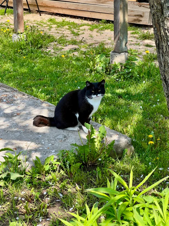 Коттедж Милый домик рядом с озером Ильмень — Великий Новгород