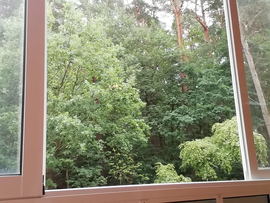 Квартира у моря, с видом на озеро и сосновый бор