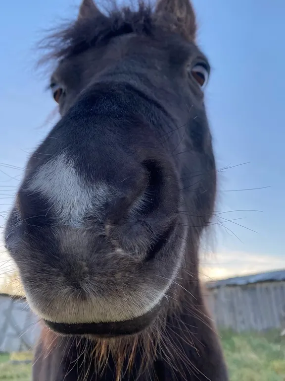Гостевой дом Северянка