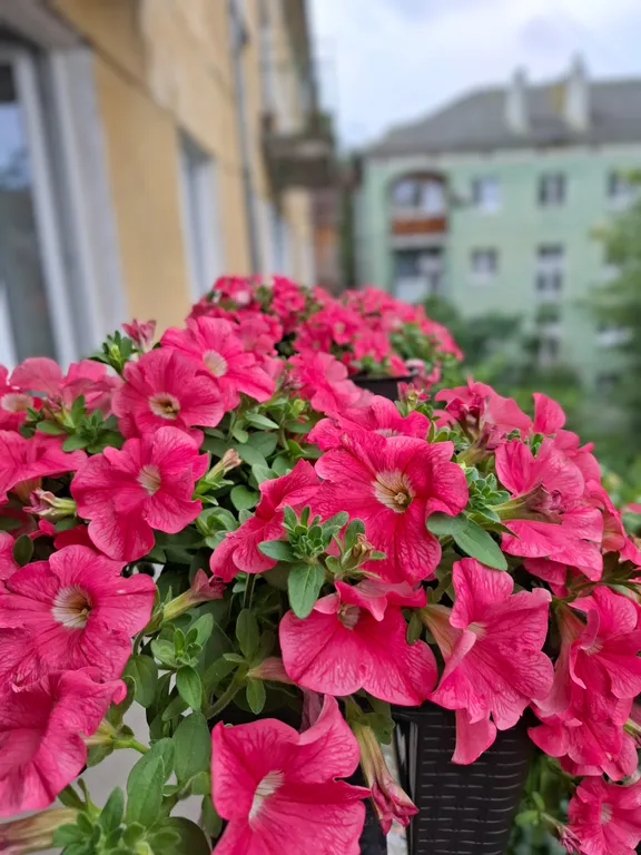 Квартира Квартира Светлая двушка в центре Калининграда — Калининград