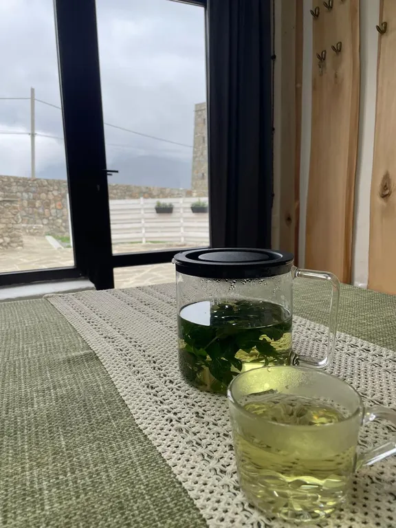 Дом с баней в горах Осетии