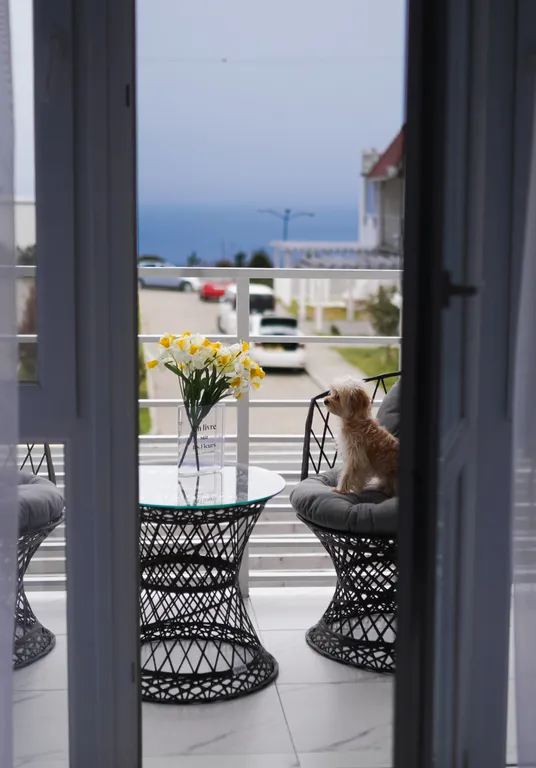 Квартира 1-комнатная Квартира — Севастополь