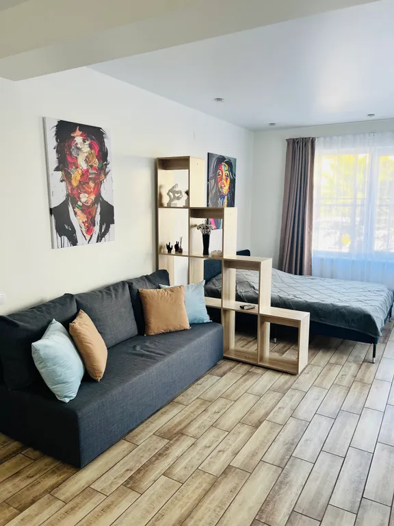 Квартира 1-комнатная Квартира — Сириус