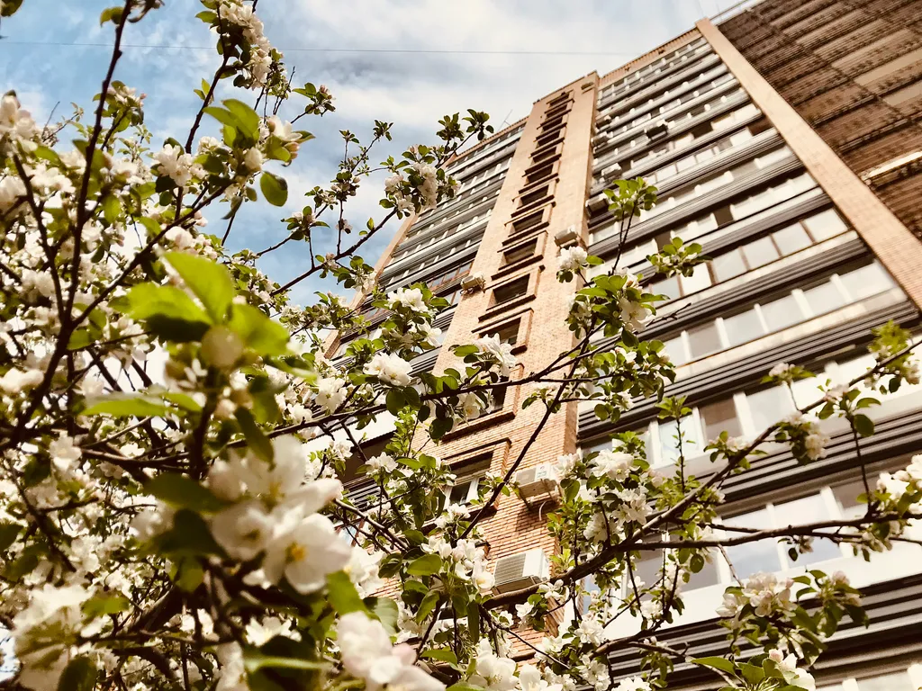 Квартира Квартира Большая студия в центре рядом с набережной — Самара