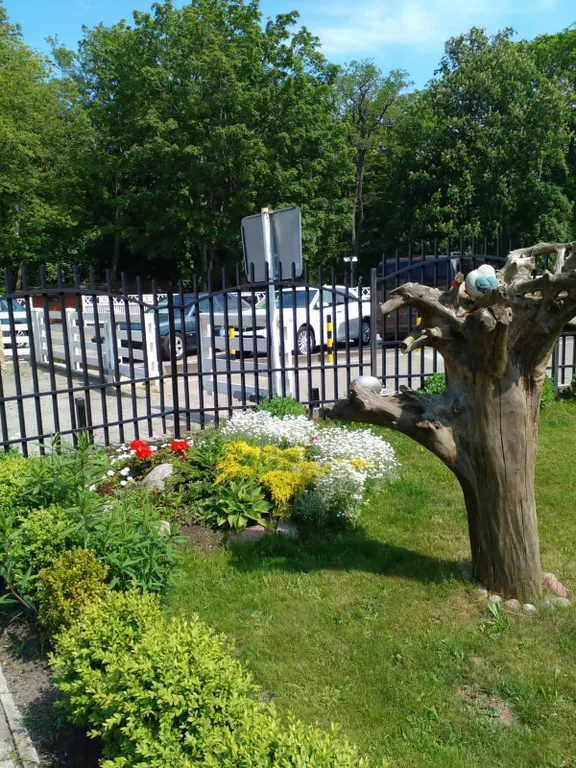 Коттедж Уютный домик у моря — Зеленоградск