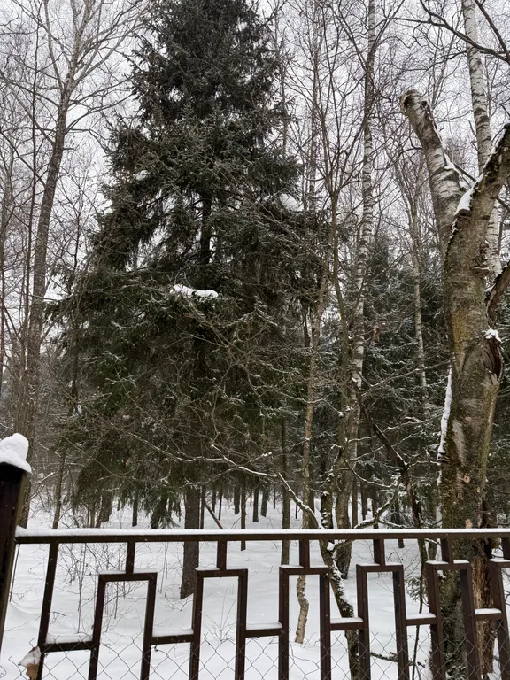 Коттедж Милый тихий домик в лесу ждет Вас — Степаньково