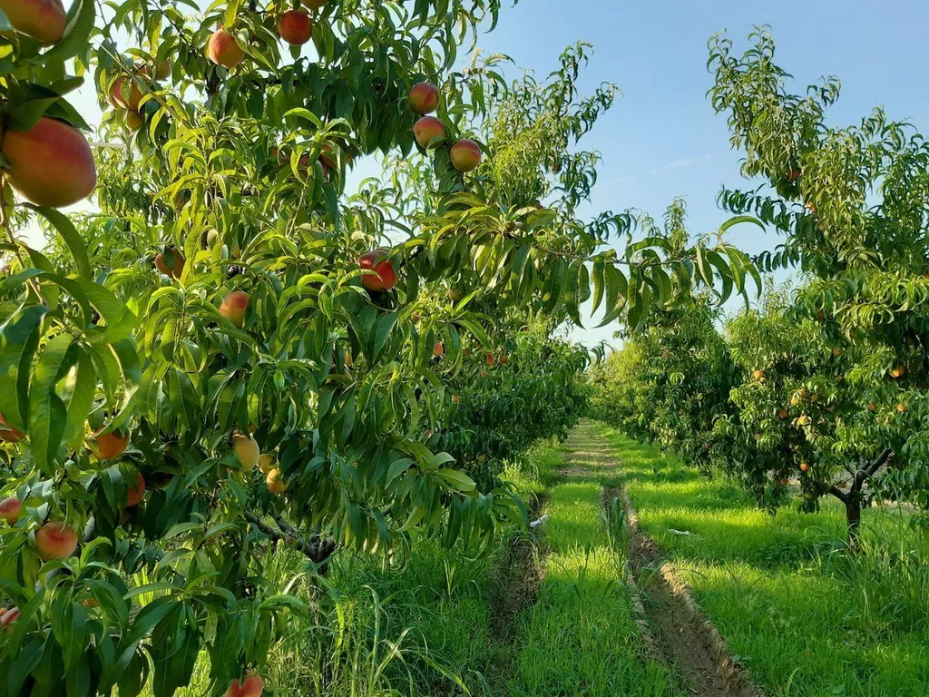 Райская мансарда с балконом на море: простор, комфорт и уют