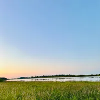 Татьяна