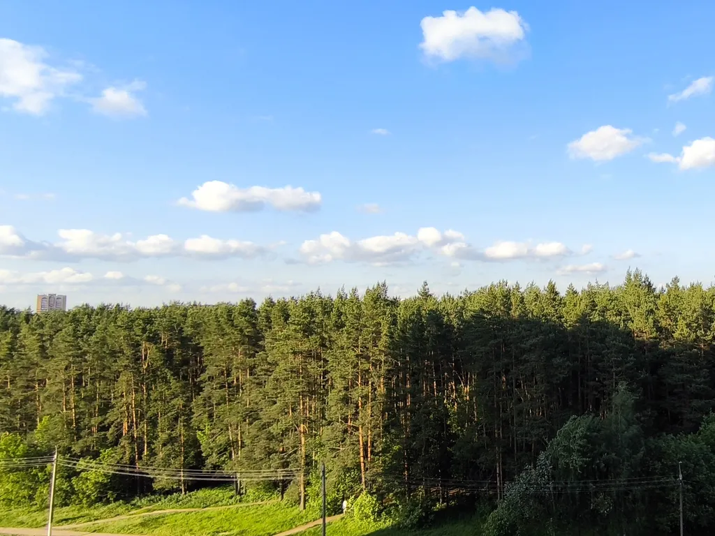 Чистая уютная квартира с видом на сосновый бор