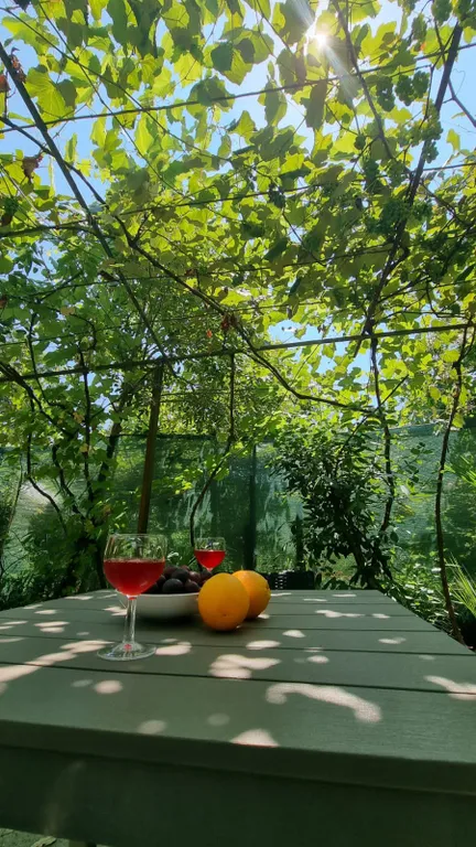 Коттедж Уютный дом с участком 5 соток — Дагомыс