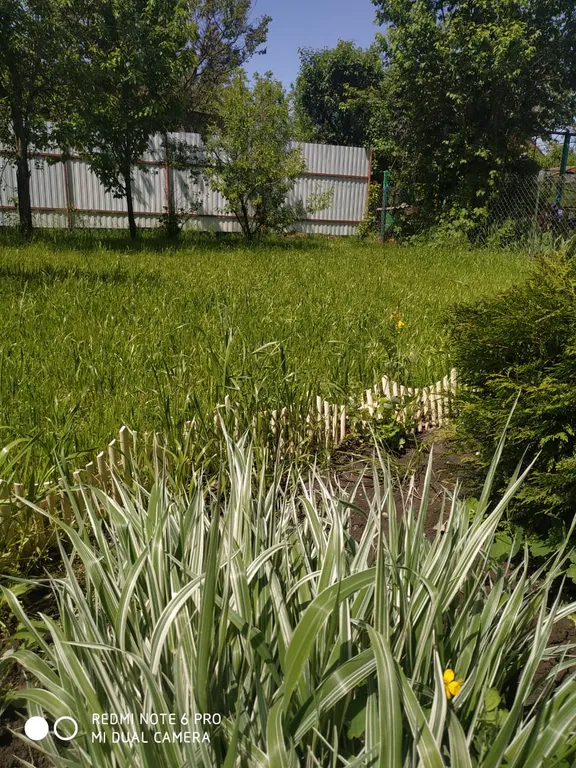 В близи от центра, в дали от суеты