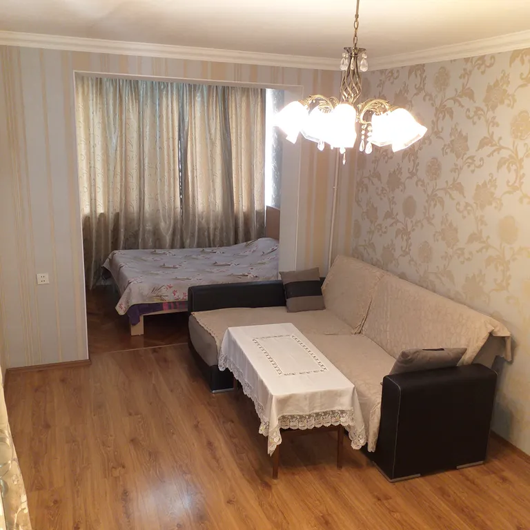 1-комнатная квартира в центре города