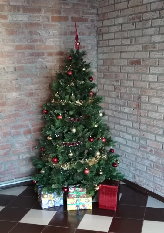 12-комнатный Дом