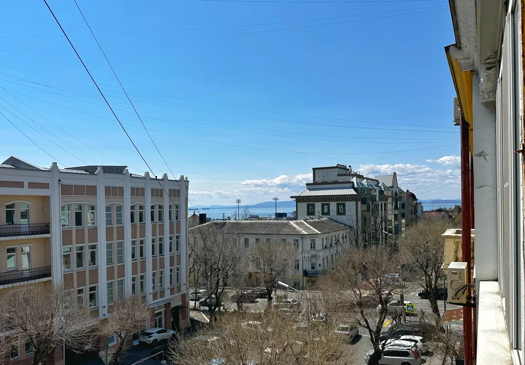 Просторная квартира в центре города