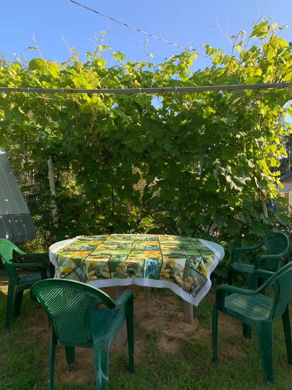 Уютный дом для больших компаний