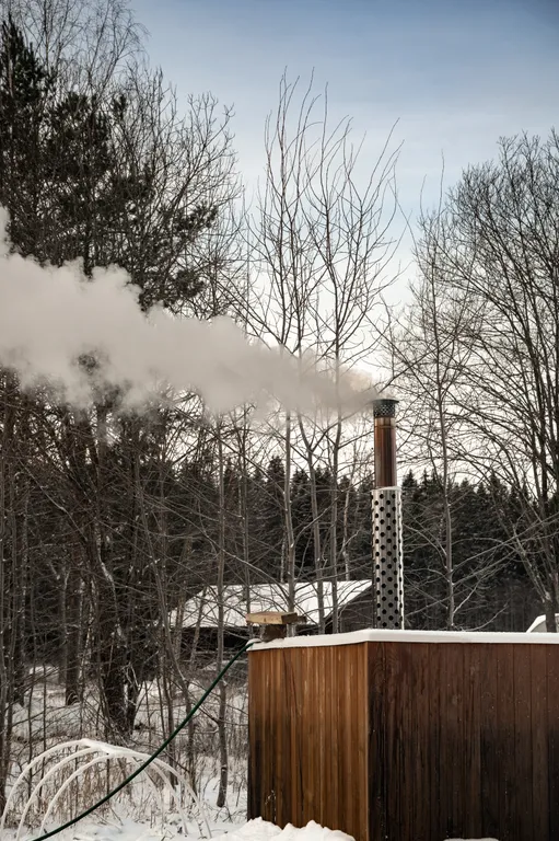 Загородный дом в лесу на Финском заливе