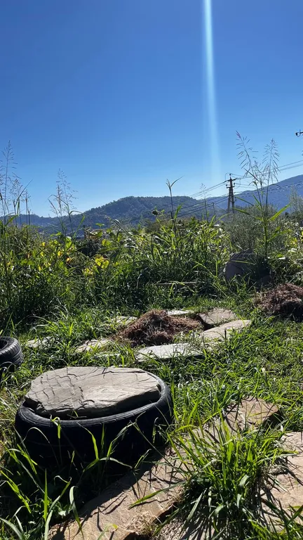 Аrtboxhouse морской контейнер