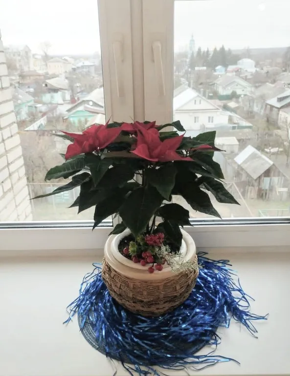 Семейная квартира у ж/д станции Коломна в историческом центре