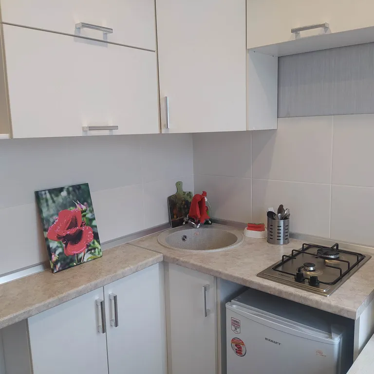 1-комнатная квартира в центре города