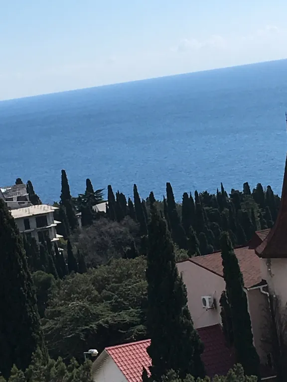 Видовая студия на мансарде под горой Кошка