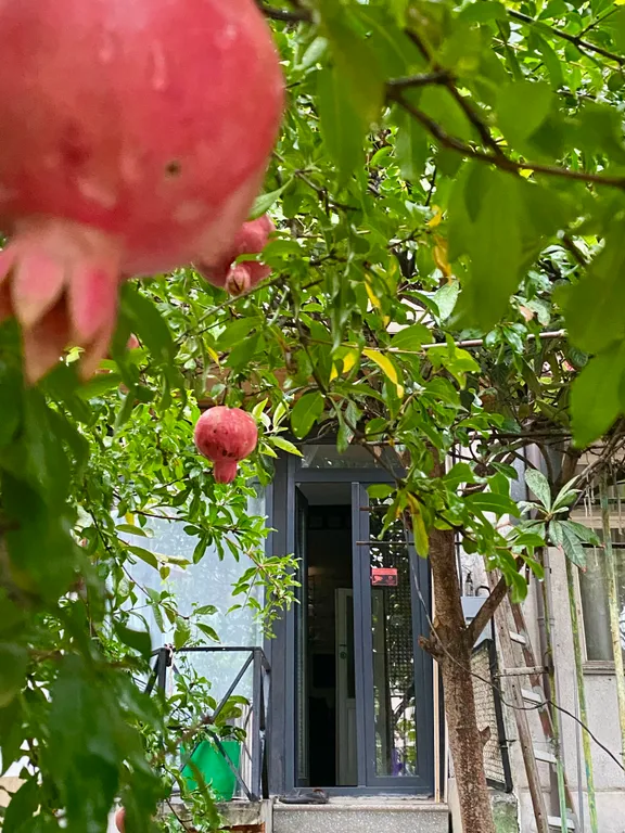 Дом в стиле лофт в Старом Тбилиси