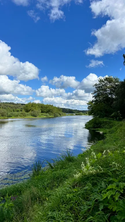 Уединённый хутор в лесу у реки с баней и камином