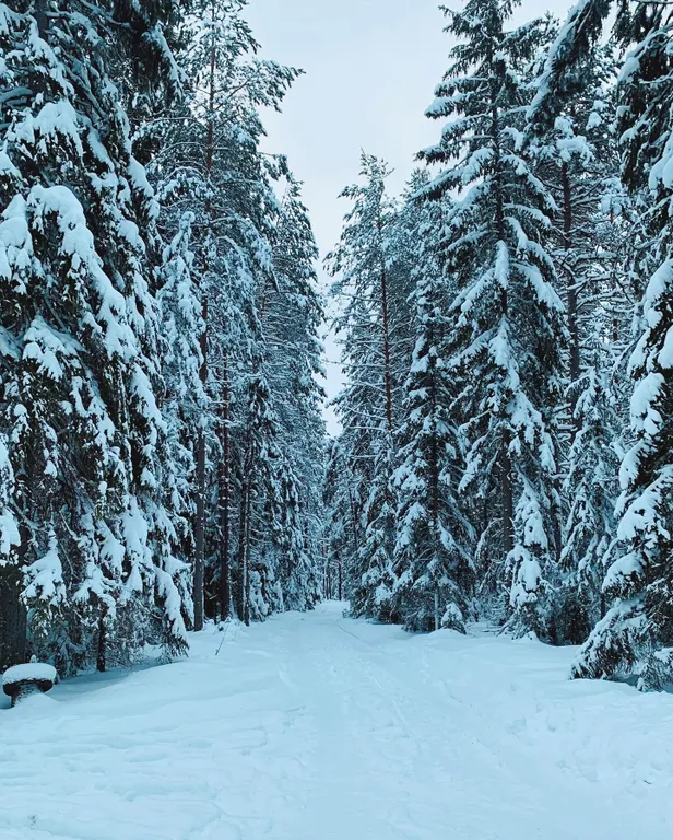 Нурми дом у реки