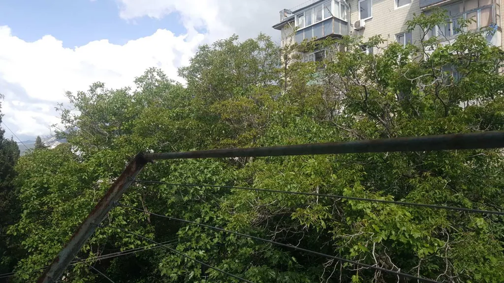 Квартира рядом с парком и морем