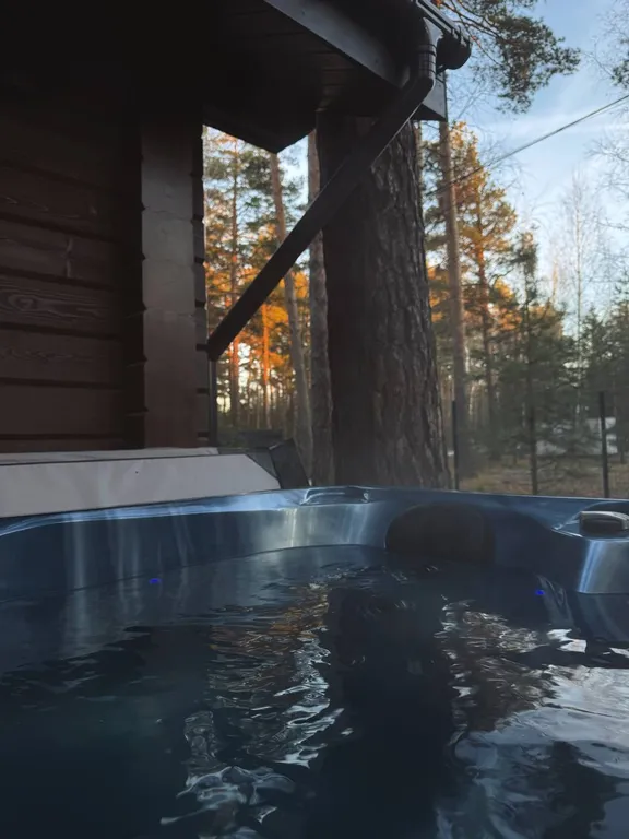 Дом в лесу с джакузи и баней