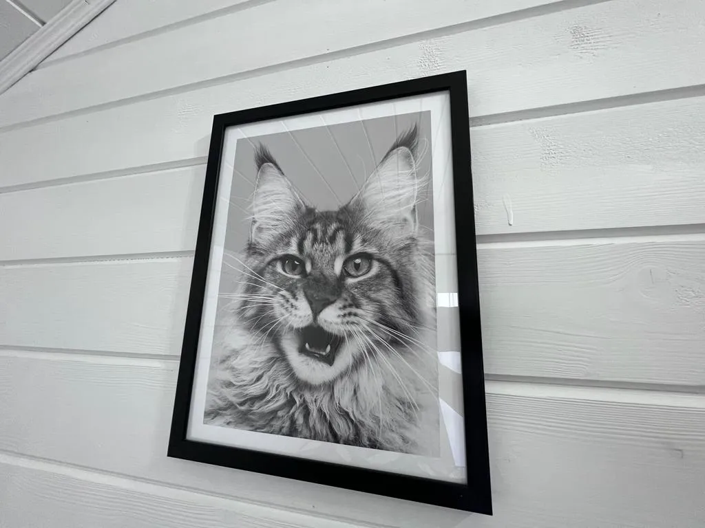 ЭКО Дача в елках