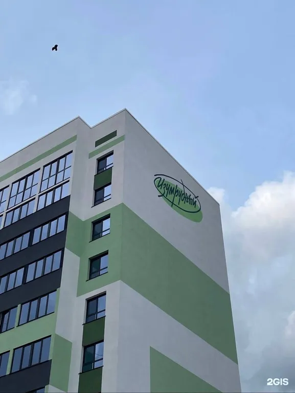 Студуя в центре города